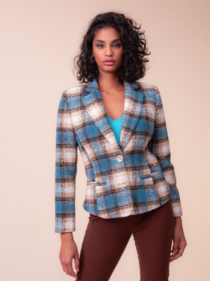 Alison Sheri Blue Check Blazer